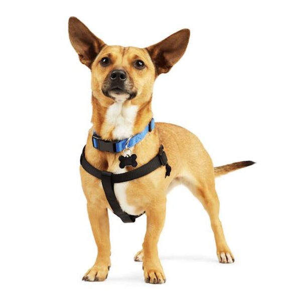 Youly Other - Youly Dog Harness in black